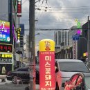 미스꽃돼지