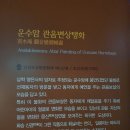 운수암 관음변상탱화 | 강원특별자치도 유형문화재 제 137호 운수암 관음변상탱화