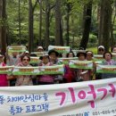 부산진구치매안심센터 웹이코노미