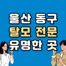 남목1동 | 울산 동구 탈모 전문 병원 치료 잘하는 병원 List