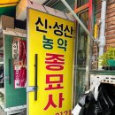 하늘종묘사 티스토리
