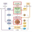 핏온짐 이미지