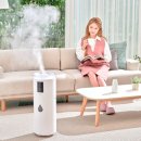 183 | 대용량가습기 쿼드 진동자 프롬비 몬스터 FC183 3개월 사용 후기