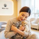 다정한동물메디컬센터 | 김해강아지분양 부산 남포동 애견샵 추천 평생을 약속하는 곳