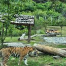 백두대간한옥펜션 이미지