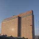 기후 위기, 인류의 생존이 걸려있다고? | TV 조선 2025 글로벌리더스포럼 DAY 1 후기🌟 | 글로벌리더스포럼 서포터즈🌏