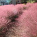 왕궁농장 이미지