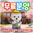 신애정신병원 | 수성구강아지분양 테디럽에서 가족을 만났어요 (feat. 경산 김천)