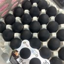 채담이네 | 내돈내산 채담 참숯란 30구 솔직후기! 건강한 단백질 간식으로 딱!!