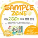보솜이카페