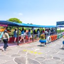 5월 6월 제주 동쪽 가볼만한곳 제주레일바이크 외