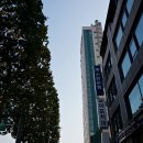 스테파노 일류초밥 이미지