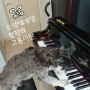 노래하는음악교습소 - 안산시 상록구 식물원로2길 24-1 | 노래하는음악교습소