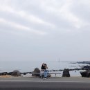 신창 리 하우스 | 박럭키제주살이 ; 동행게스트하우스 아직도 안가봤대?