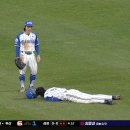 데이파크(1) 이미지