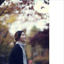 (신청중)11월5일(수)한강 선유도 단풍출사 이미지