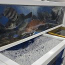 삼주초장 이미지