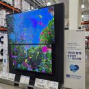 LG.필립스디스플레이(주) | 삼성전자 감사 페스티벌로 온누리상품권 구매액의 20% 캐시백 + 6월 송도 코스트코 쇼핑 및 구경하기