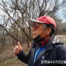 갈맷길(4-2구간) 이미지