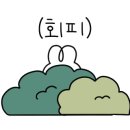 루멘헤어 이미지