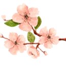 천주산 등산로 입구 이미지