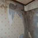 남현동-27 이미지