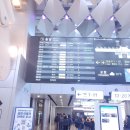 (주)신제주여행사 | 제주항공 타고 다녀온 김포-제주 2박 3일