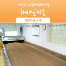 해비알마을 이미지