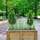 대곡강산타운 이미지