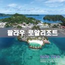(주)라온투어 - 수원시 장안구 | (주)라온투어