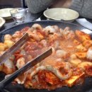 독도쭈꾸미 이미지