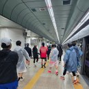 평지경로회관 | 2025 스포츠서울 하프마라톤 후기