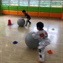 용인대 마북 태권도 이미지