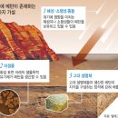 세계로가설 이미지