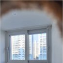 온누리건강하우스 이미지