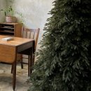 트리트리 이미지