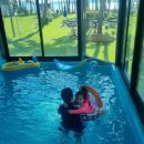 드림디포태안점 | 아이와 태안 여행 - 첫째날 (태안 린더버그 풀빌라)