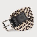 페르시안캣 이미지