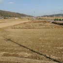 공인중개사사무소 진흥부동산 이미지