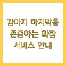 멋내는 강아지 | 강아지 마지막을 존중하는 화장 서비스 안내