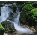 대티골계곡 이미지