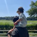 원당목장 | 원당 종마목장 주차 코스 소요시간 고양 가볼만한 곳, 여름 방문 후기