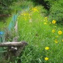 윤순 농장 이미지