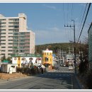 운촌삼거리 | 기장 일광산(378m)-&gt;수령산(368.2m)-&gt;장산(634m)-&gt;간비오산(147.7m)(2008.1