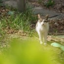 하단동179 이미지