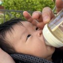 순덕농장 네이버블로그