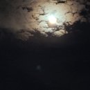 별이빛나는달밤