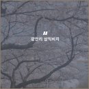 지도 왕벚나무길 이미지