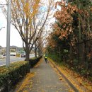 종합운동장1 이미지