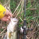 기세곡천 이미지